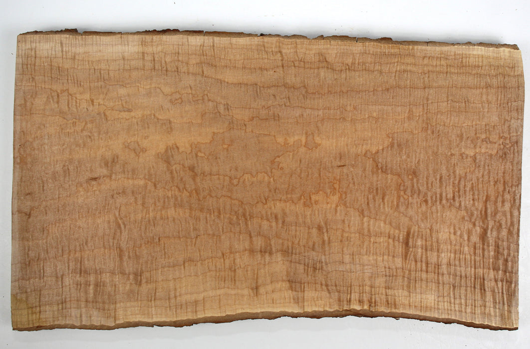 Maple Flame One Piece Carve Top, 24cm x 2.5cm Thick - Stock #40258