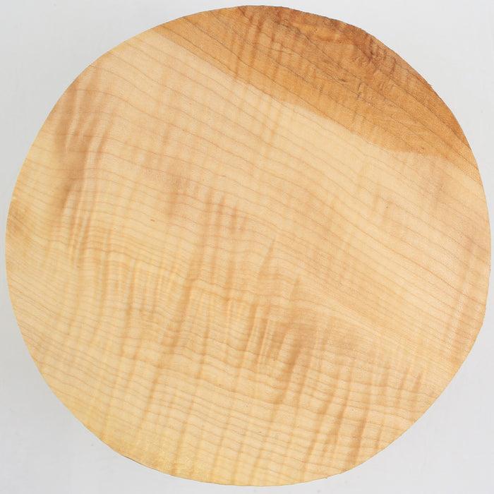 Maple Flame Round, Highly Figured, 6.7" x 3" Thick  - Stock #40564