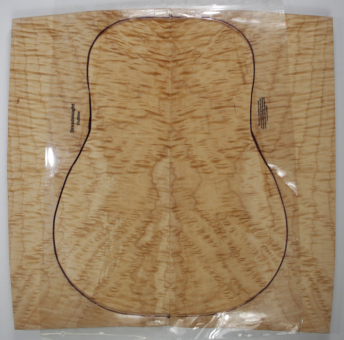 Maple Quilt Archtop Back and Side Set, Very Highly Figured - Stock #40304