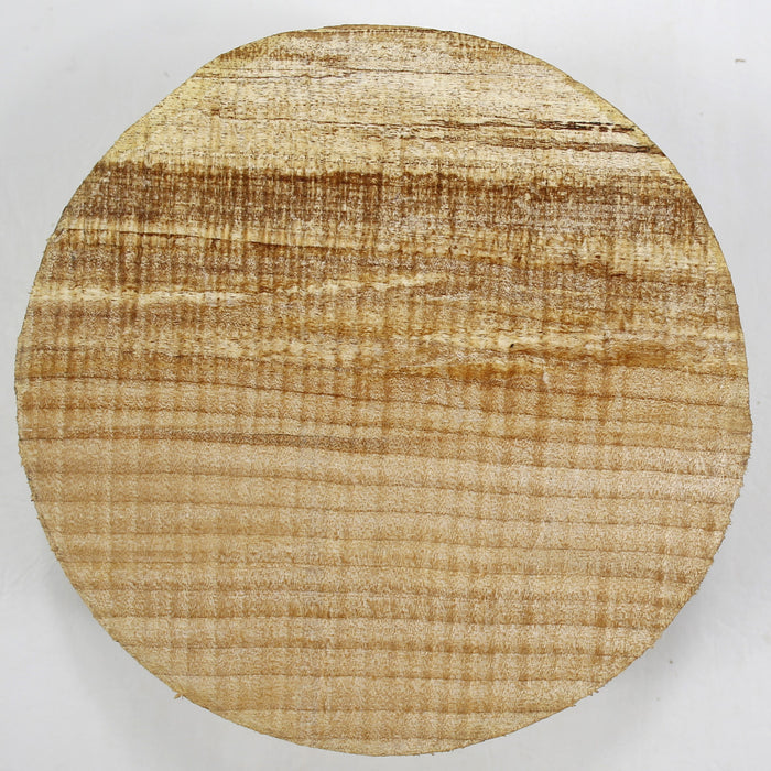 Maple Flame Spalted Round, 7" x 2.9" Thick - Stock #40331