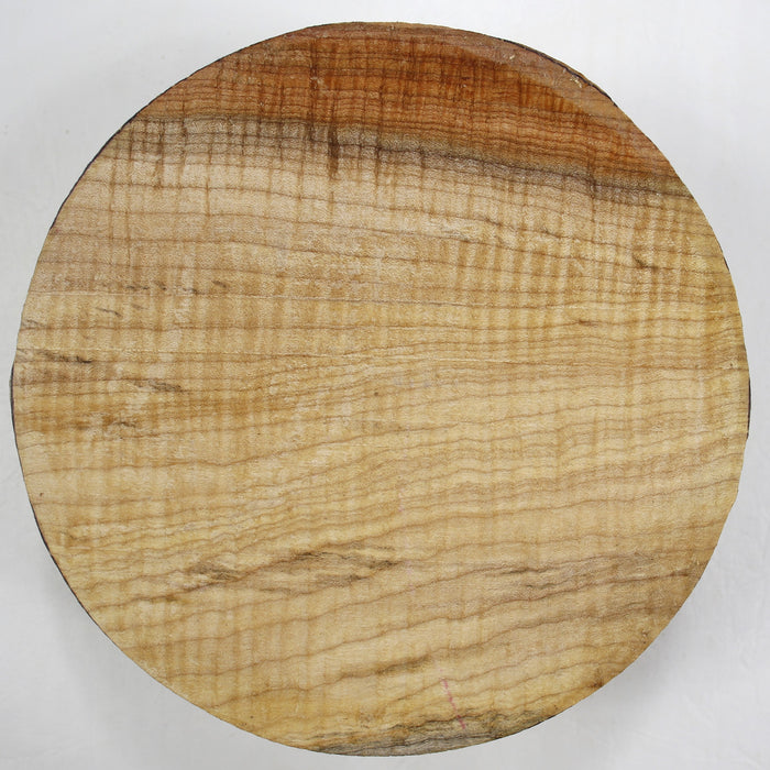Maple Flame Spalted Round, 7" x 2.9" Thick - Stock #40331